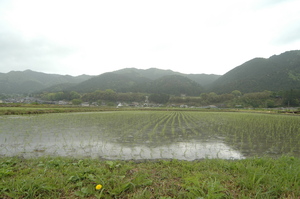 天気もお餅もしっとりと・・・