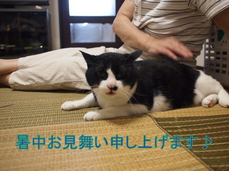 　本日の一枚　～田中さん～