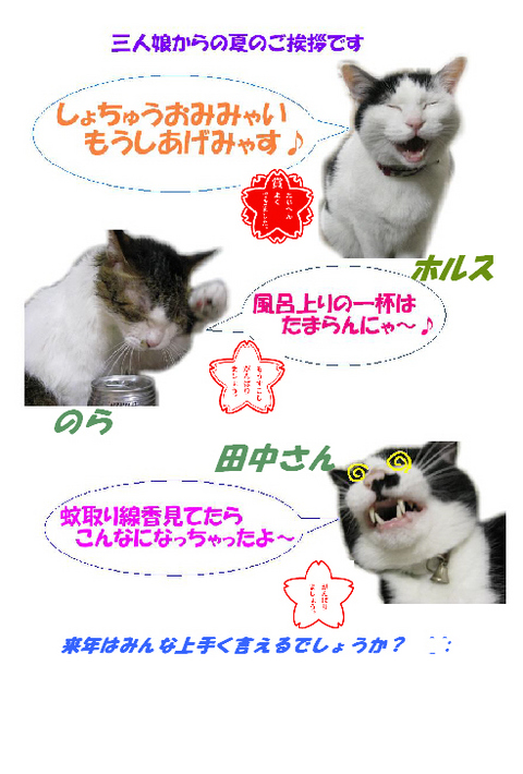 本日の一枚　～のらとホルスと田中さん～