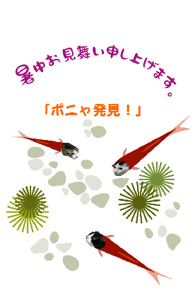 本日の一枚