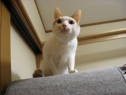 本日の一枚