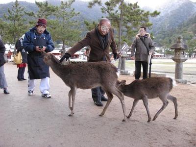 【番外編】広島のおもひで