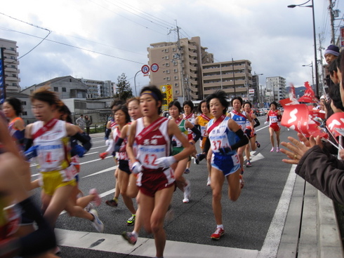 本日の一枚