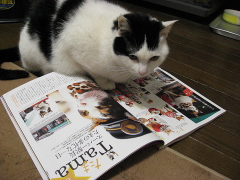 本日の一枚