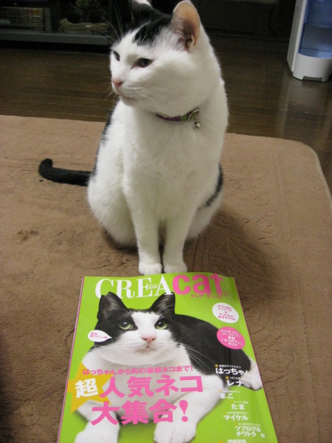 本日の一枚　～ホルス～