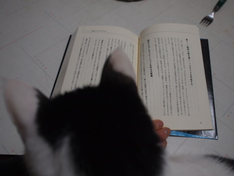 　本日の一枚　～ホルス～
