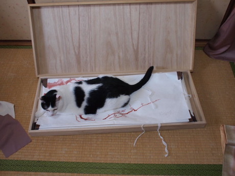 　本日の一枚　～ホルス～
