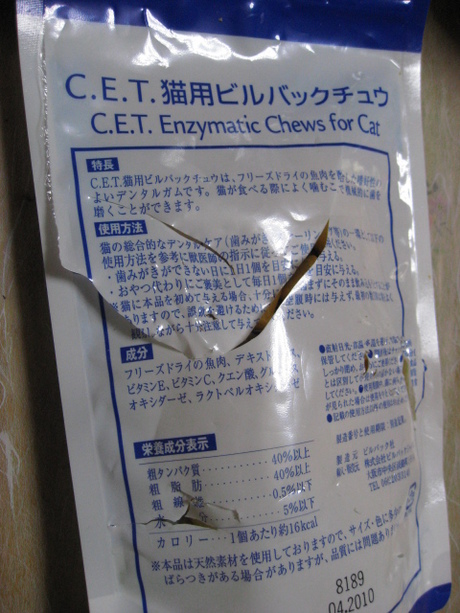 本日の一枚