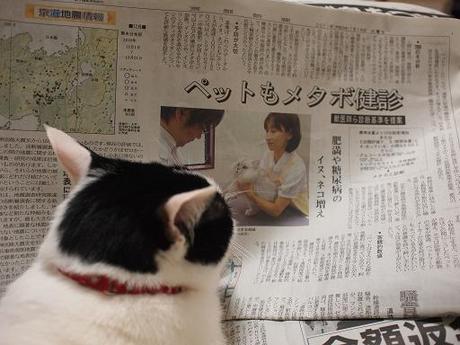 　本日の一枚　～ホルス～