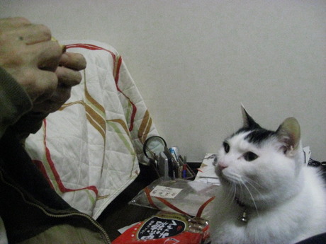 　本日の一枚　～ホルス～