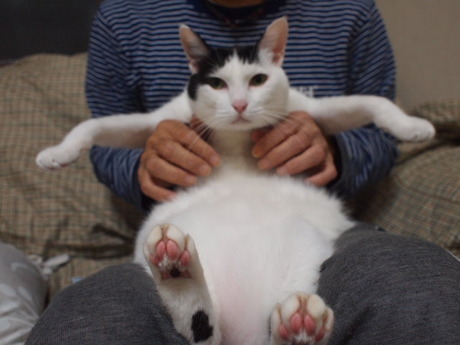 　本日の一枚　～ホルス～