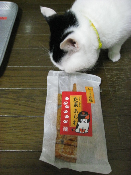 本日の一枚　～ホルス～