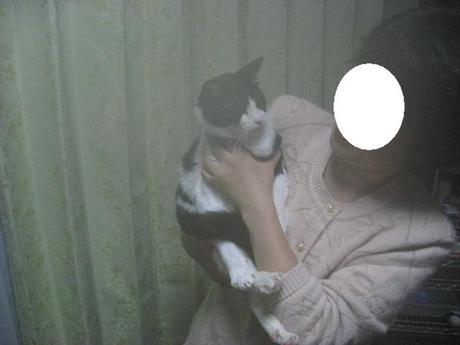 本日の一枚