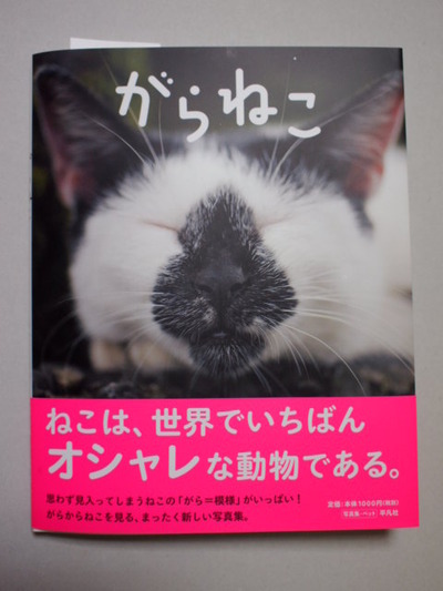 　本日の一枚　～ホルス～