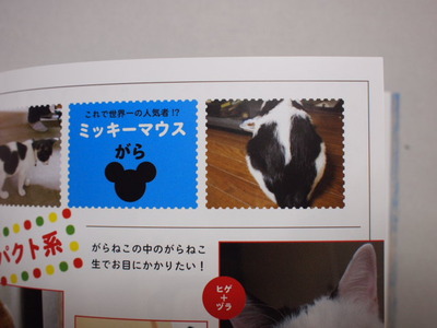 　本日の一枚　～ホルス～