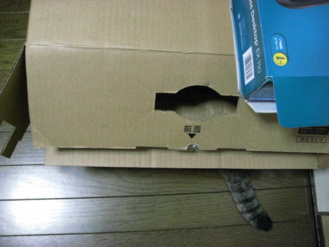 本日の一枚