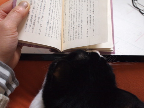 　本日の一枚　～田中さん～