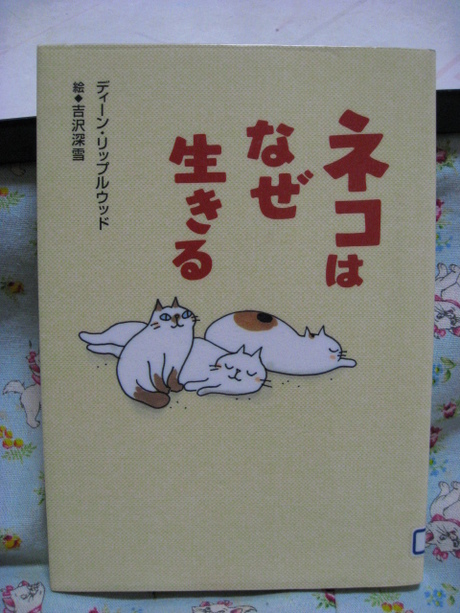 本日の一枚