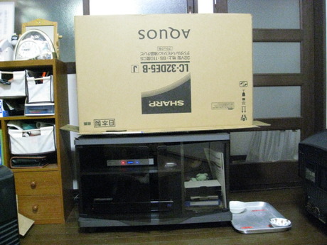 本日の一枚