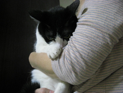 本日の一枚