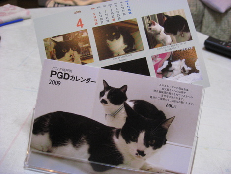 本日の一枚