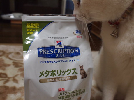 　本日の一枚　～ホルス～