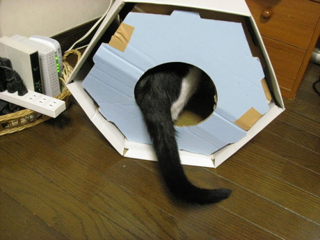 本日の一枚　～ホルス～