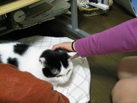 本日の一枚　～ホルス～
