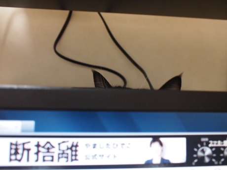 　本日の一枚　～田中さん～