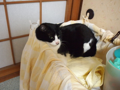　本日の一枚　～田中さん～