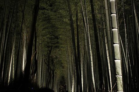 竹のルミナリエ　（嵐山）