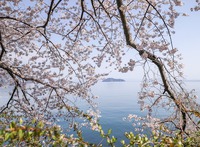 静かな奥琵琶湖（高島市・海津大崎）
