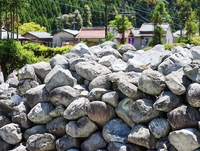 美味しさの要（左京区・土井志ば漬本舗）