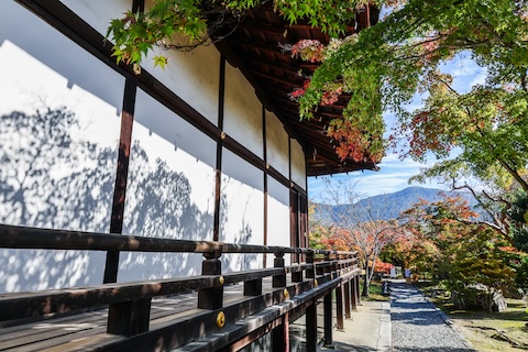 秋の影（山科区・勧修寺）