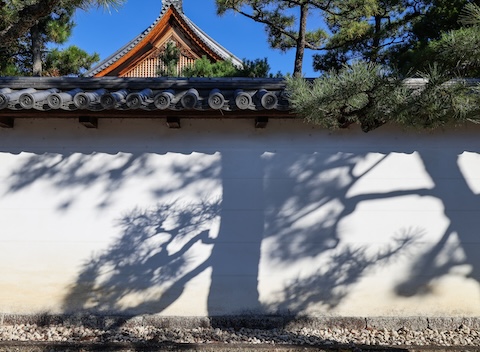 太陽は芸術家（上京区・相国寺）