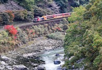 秋の渓谷をゆく（西京区・保津峡）