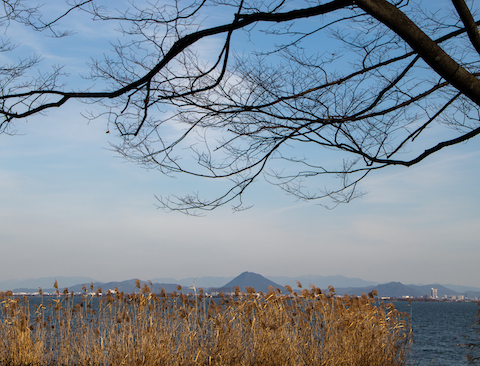 冬枯れの琵琶湖（大津・四ツ谷湖岸緑地）