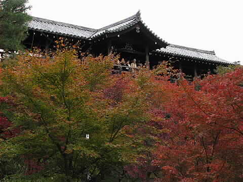 通天橋の紅葉～東福寺～