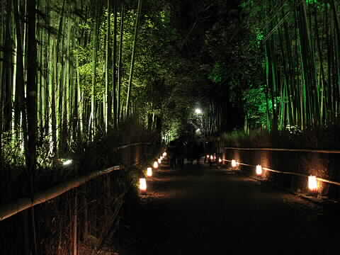幻想的な竹の路　（嵐山・花灯路）