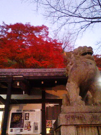 紅葉狩り