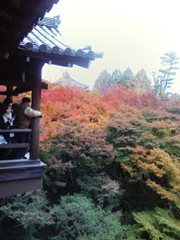 紅葉狩り