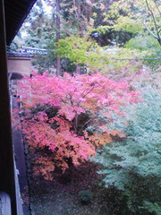 紅葉狩り