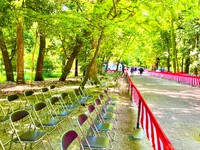 【　お知らせ　】 葵祭まなび席　2席あります！！