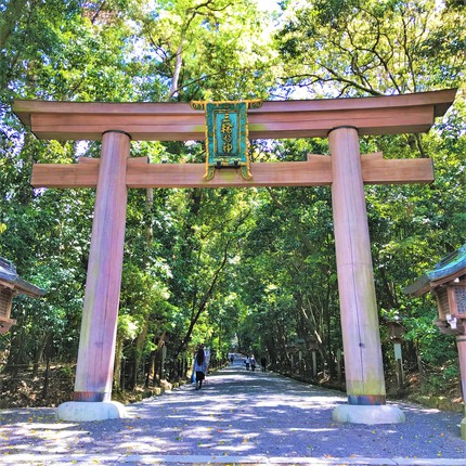 ≪　薫風の新緑お写んぽ　≫　－ 過去写真より新緑めぐりへ －