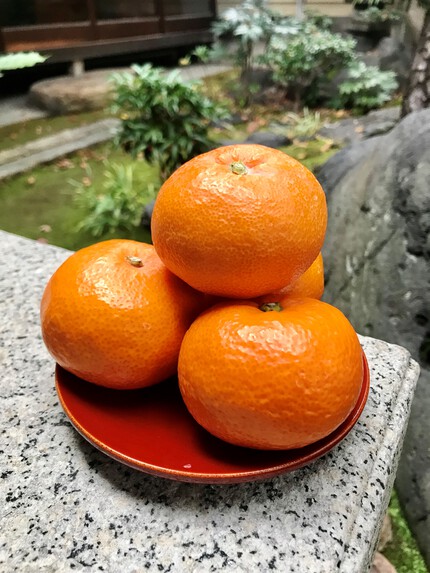 愛媛といえば･･･