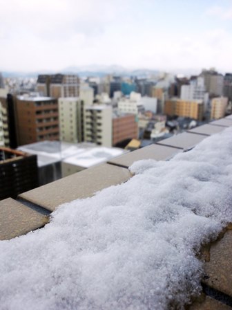 ≪　うっすら雪化粧　≫　in　京都