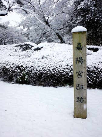 ≪　寒さに耐えて･･･　≫　in　京都御苑 ・ 梅林