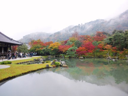 紅葉が見ごろへ　≪　天龍寺・曹源池庭園　≫