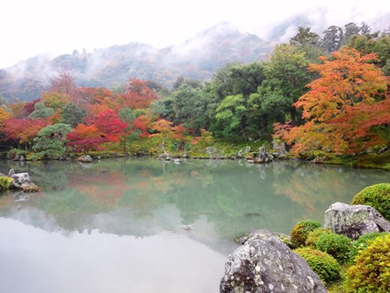 紅葉が見ごろへ　≪　天龍寺・曹源池庭園　≫