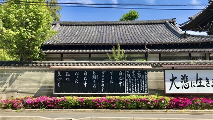 ≪　新緑・躑躅に包まれる佛光寺　≫